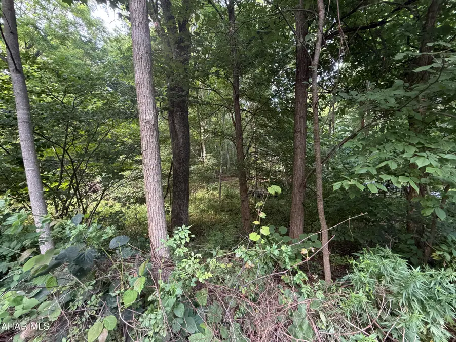 00 Winterberry Lane #Lot 14, James Creek, PA 16657 - #2
