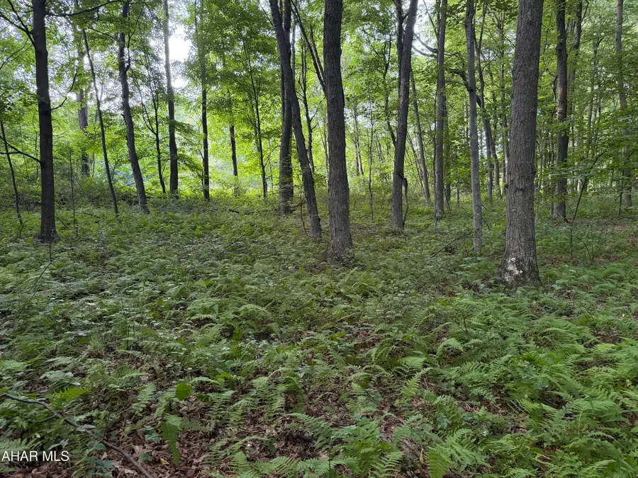 00 Winterberry Lane #Lot 14, James Creek, PA 16657 - #3