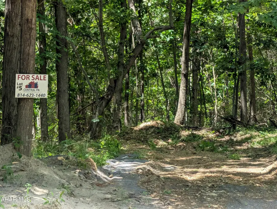 Lot 5 Freedom Drive, Manns Choice, PA 15550 - #3