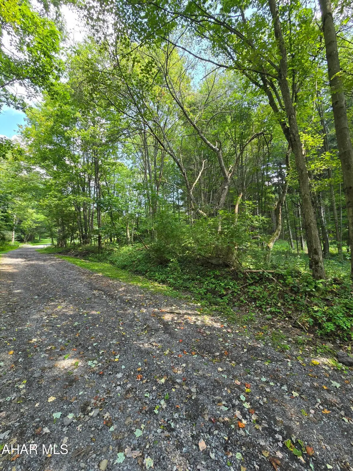 0000 Strawberry Road, Lilly, PA 15938 - #1