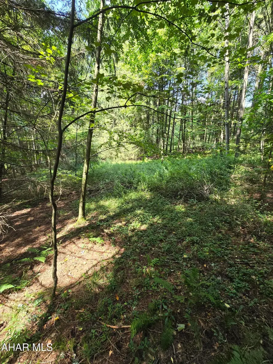 0000 Strawberry Road, Lilly, PA 15938 - #2