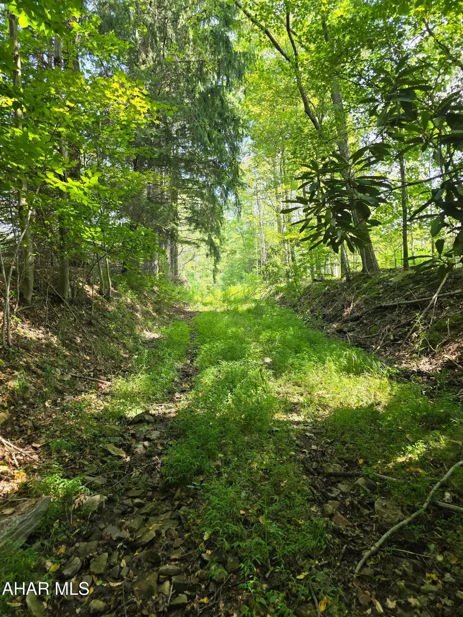 0000 Strawberry Road, Lilly, PA 15938 - #3