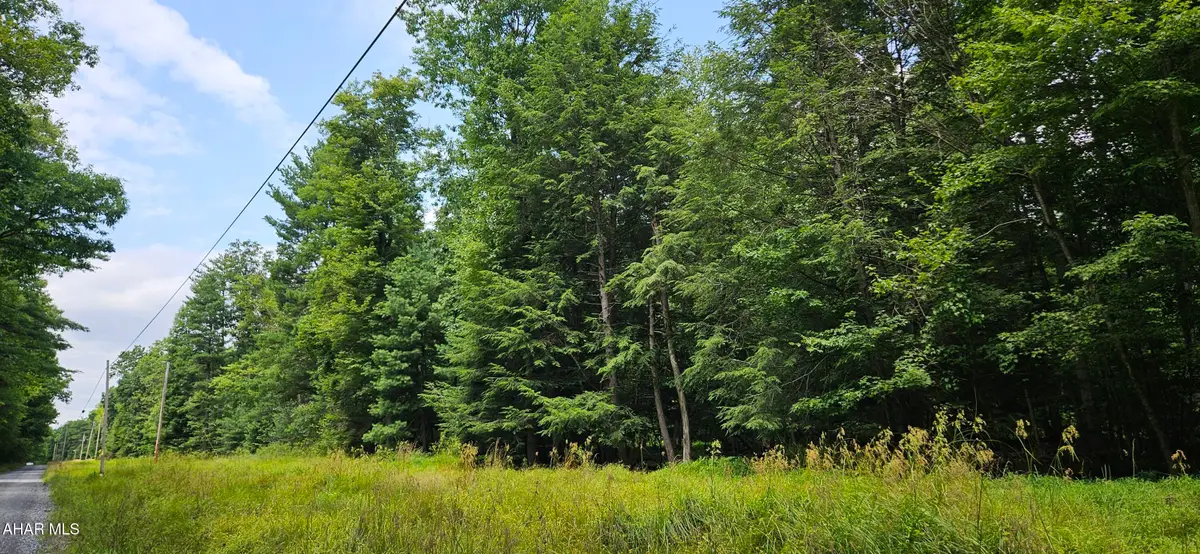 0 Trough Creek Drive, Todd, PA 16685 - #1