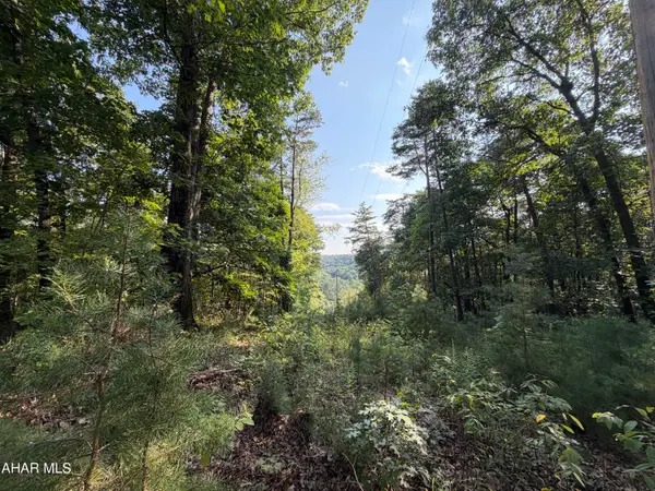 243 Swinging Bridge Road #A, Hollidaysburg, PA 16648