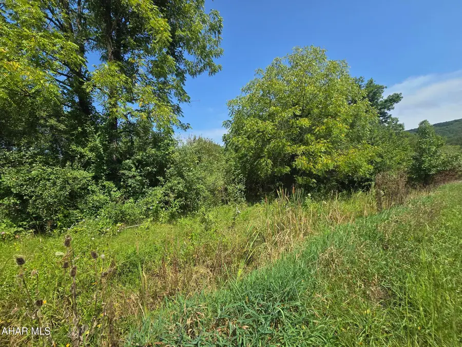 00 Scotch Valley Road, Hollidaysburg, PA 16648 - #3