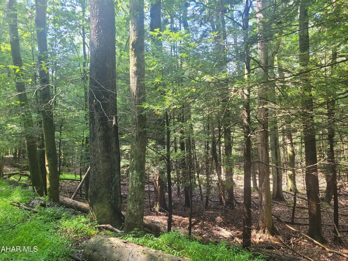 146 Forest Brook Drive, Flinton, PA 16640 - #1