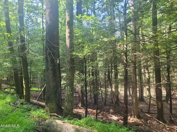 146 Forest Brook Drive, Flinton, PA 16640