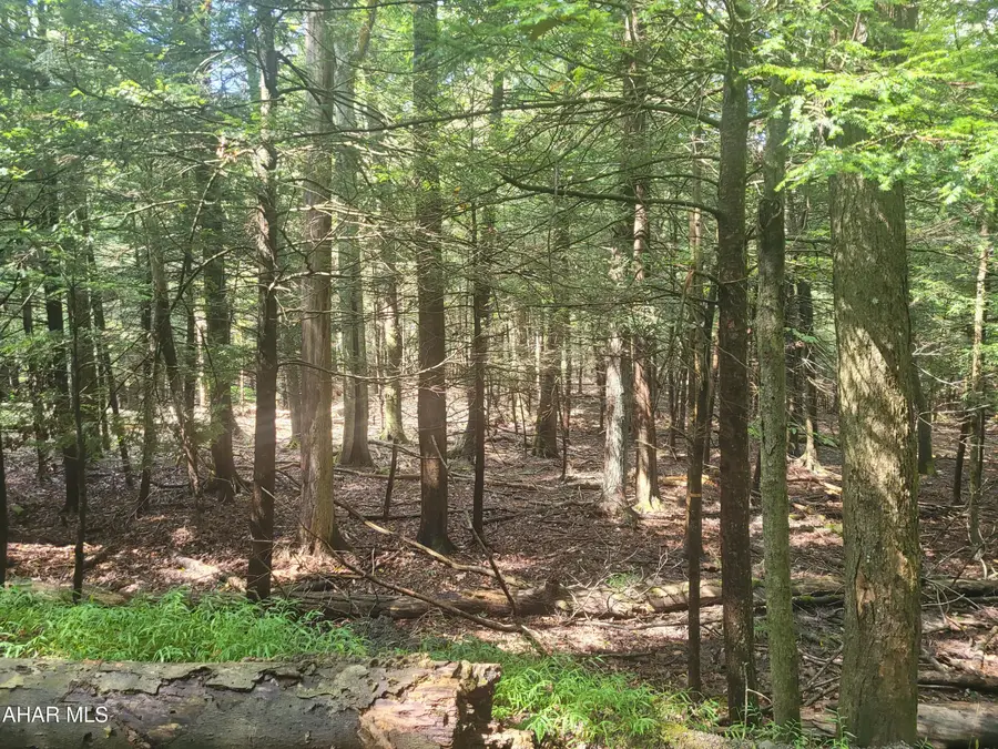146 Forest Brook Drive, Flinton, PA 16640 - #2
