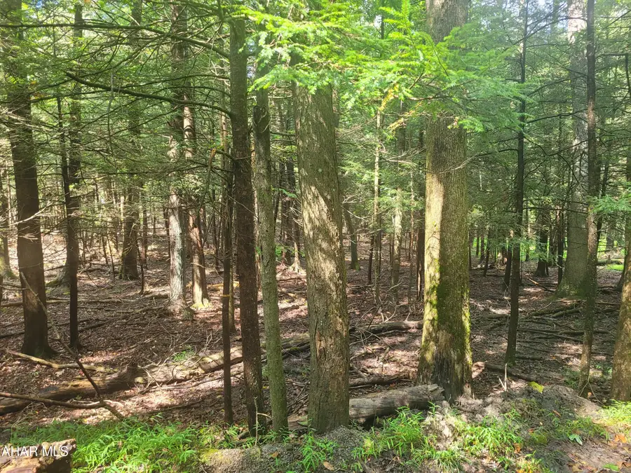146 Forest Brook Drive, Flinton, PA 16640 - #3