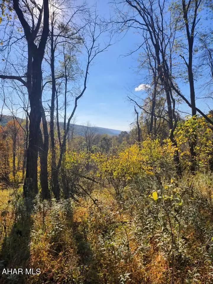 0 Off Natures Symphony Road, Imler, PA 16655 - #1