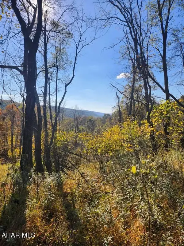 0 Off Natures Symphony Road, Imler, PA 16655