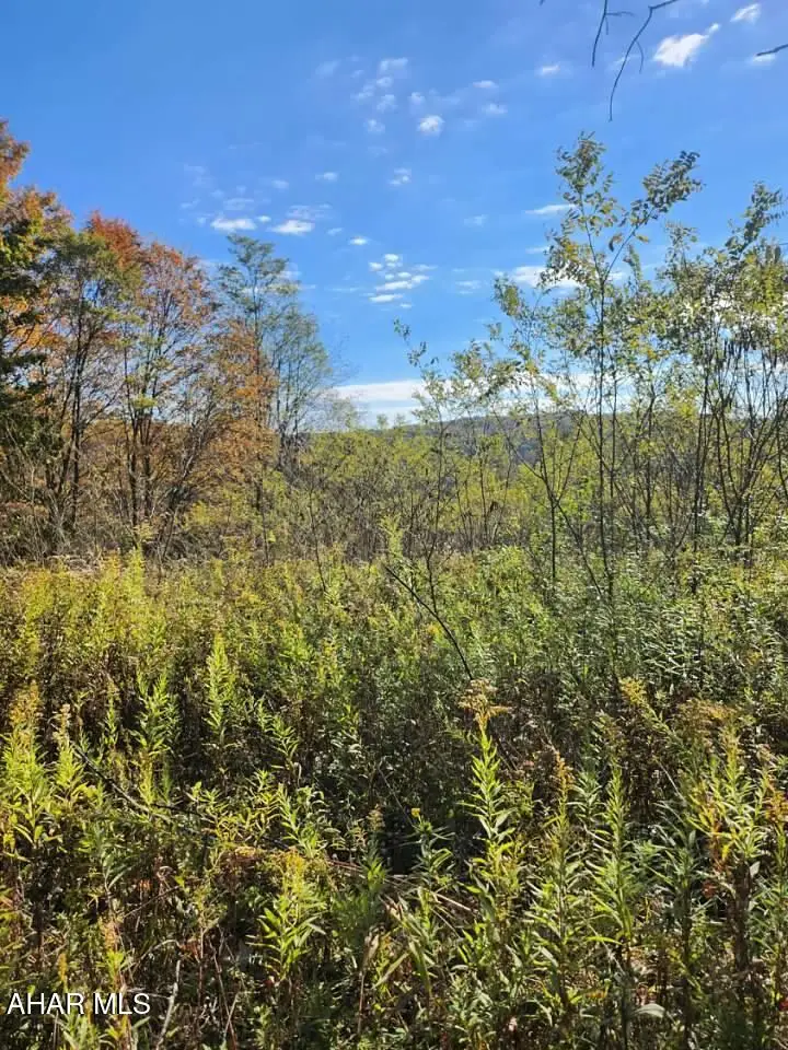 0 Off Natures Symphony Road, Imler, PA 16655 - #2