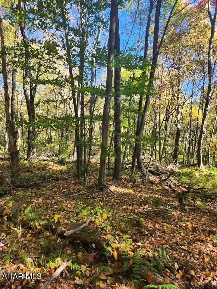 0 Off Natures Symphony Road, Imler, PA 16655 - #3