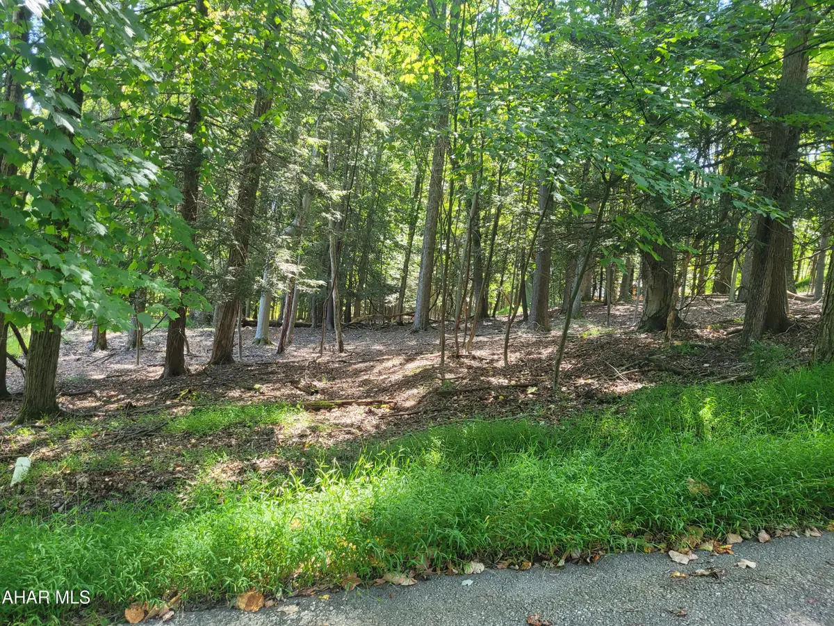 267 Turkey Ridge Road, Flinton, PA 16640 - #1