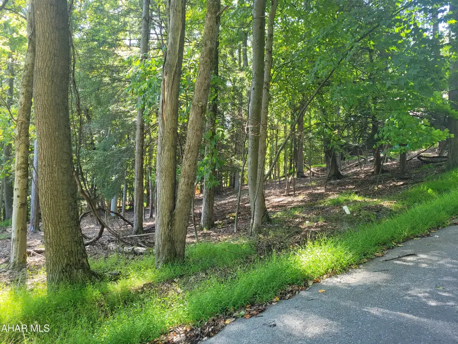 267 Turkey Ridge Road, Flinton, PA 16640 - #2