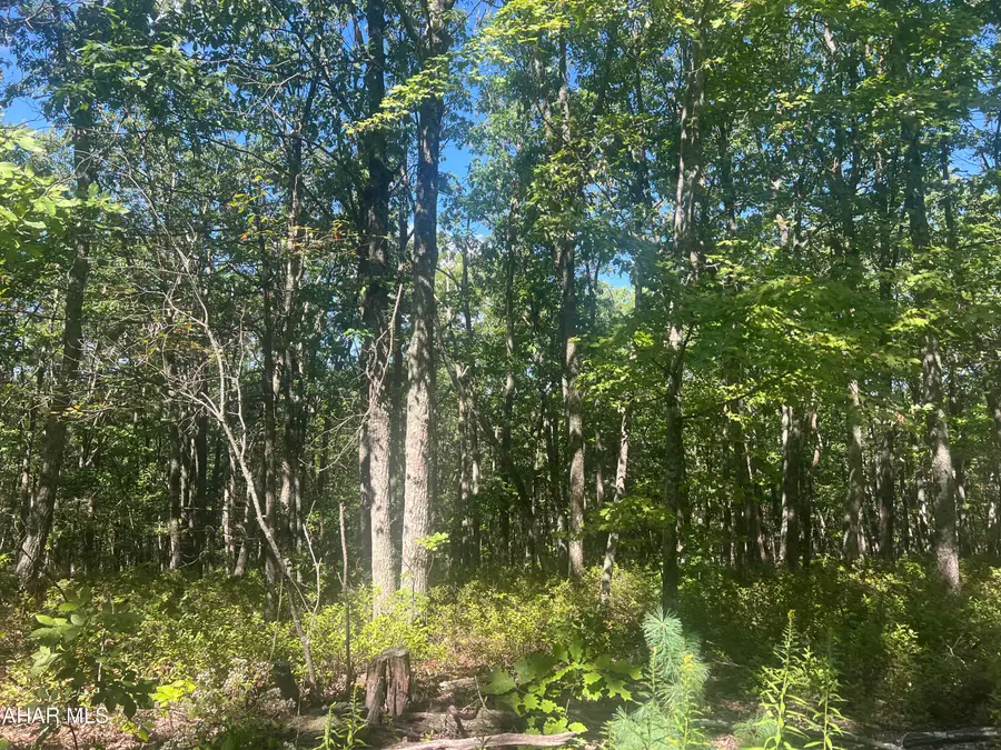00 Jeremiah Way, Clearville, PA 15535 - #3
