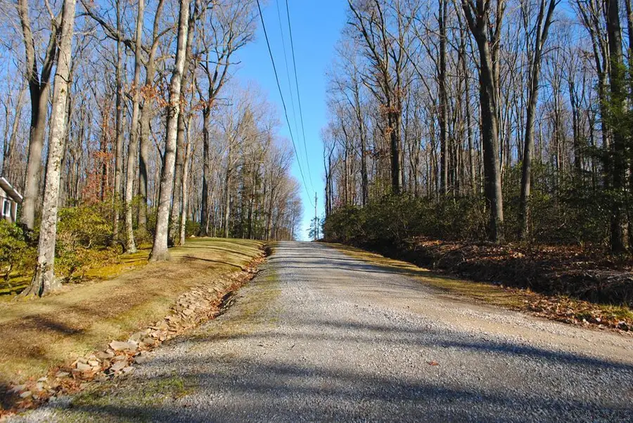 Deer Lane & Pine Lane, Penn Run, PA 15765 - Image #2