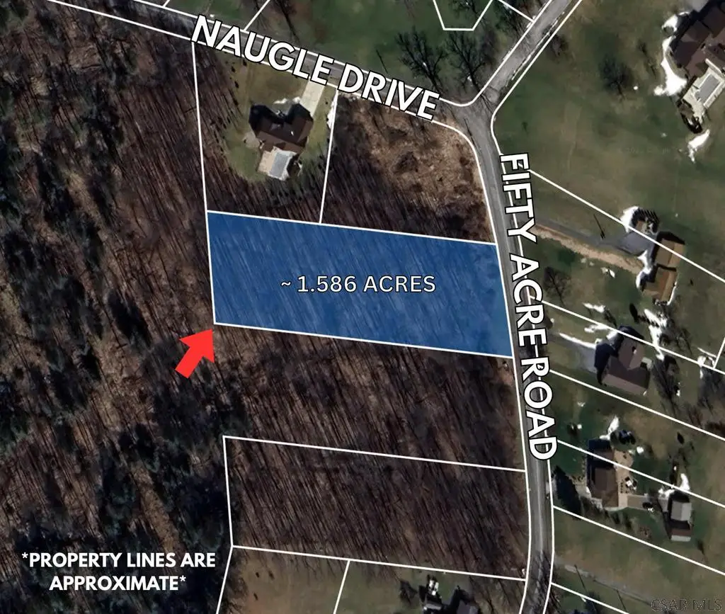 Lot 3 Fifty Acre Road, Johnstown, PA 15904 - Image #1