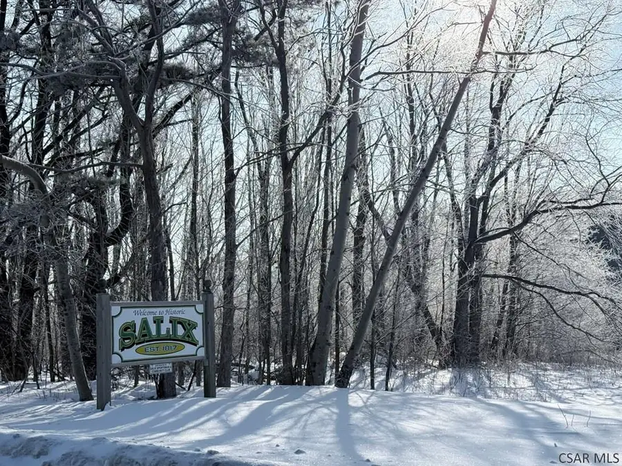 Forest Hills Drive Vacant Land - 5.48 Acres, Salix, PA 15952 - Image #3