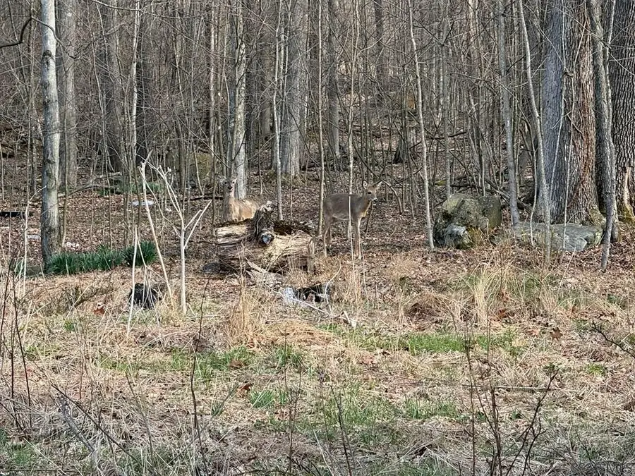 20 Eckel Street, Johnstown, PA 15906 - #3