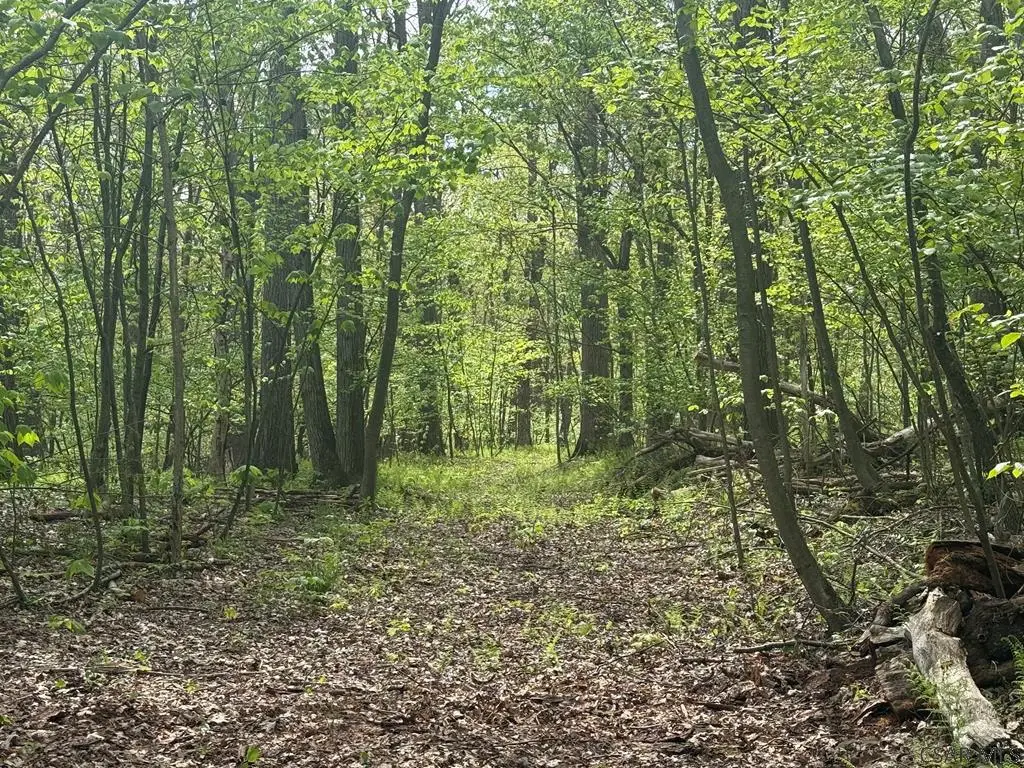 Dishong Mountain Road, Johnstown, PA 15906 - #1