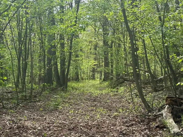 Dishong Mountain Road, Johnstown, PA 15906