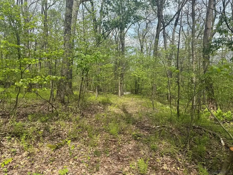Dishong Mountain Road, Johnstown, PA 15906 - #2