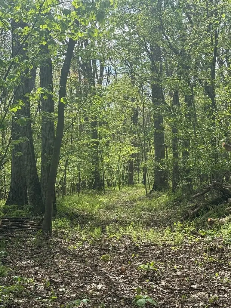 Dishong Mountain Road, Johnstown, PA 15906 - #3