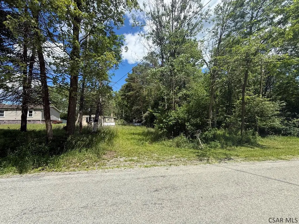 1339 Camp Drive, Windber, PA 15963 - #1
