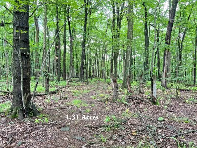 Luna Ln., Johnstown, PA 15904 - #3