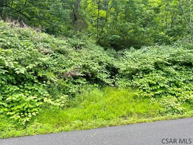 Moonshine Hollow Rd., Johnstown, PA 15905 - #1