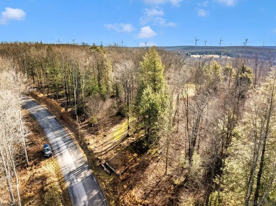 000 Lot 6 Mountain Road, Lilly, PA 15938 - #2