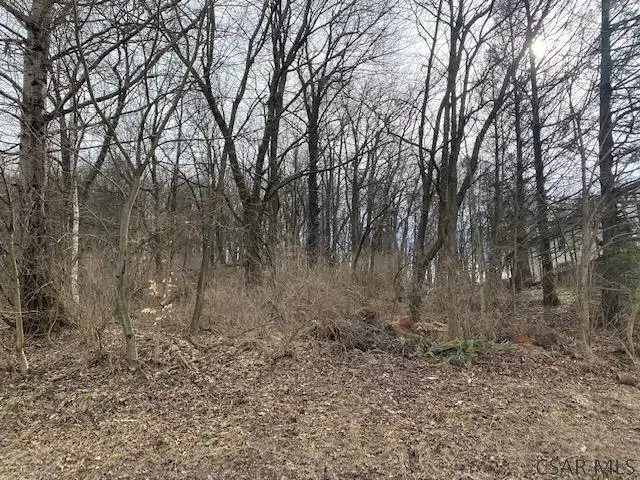 Lot Sanrue Drive, Lot, Johnstown, PA 15904 - #1
