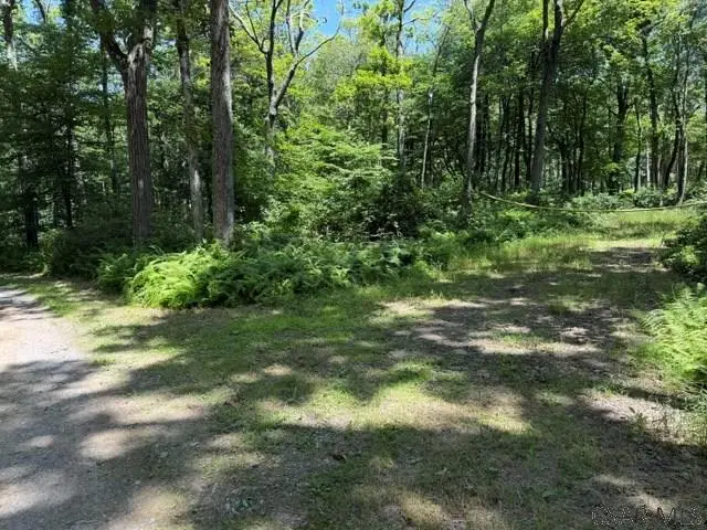0 Laurel Dr, Central City, PA 15926 - #2
