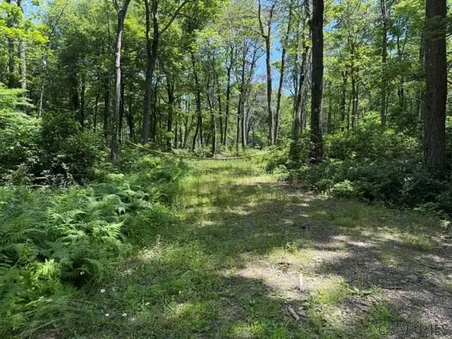 0 Laurel Dr, Central City, PA 15926 - #3