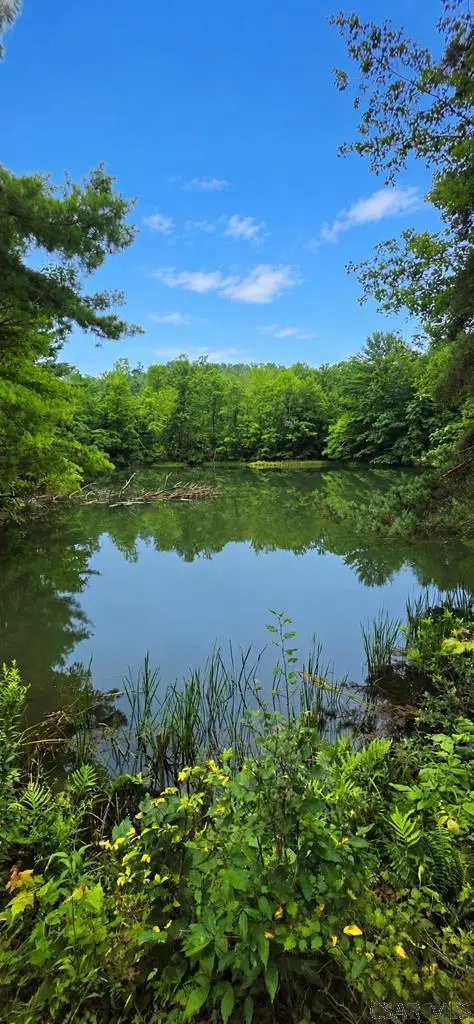 Double Dam Road, Northern Cambria, PA 15714 - #1
