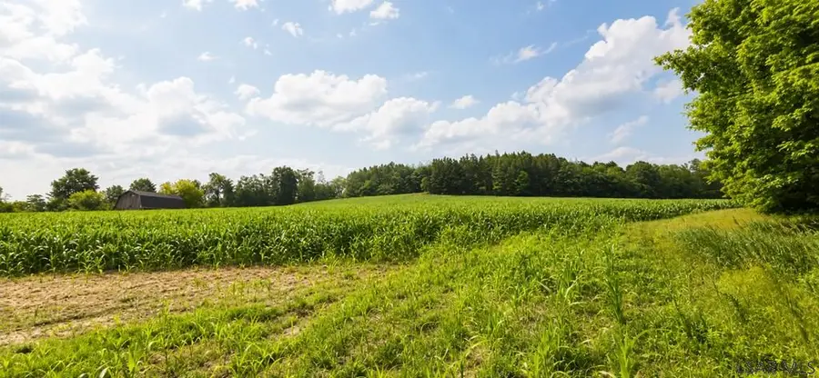Double Dam Road, Northern Cambria, PA 15714 - #2