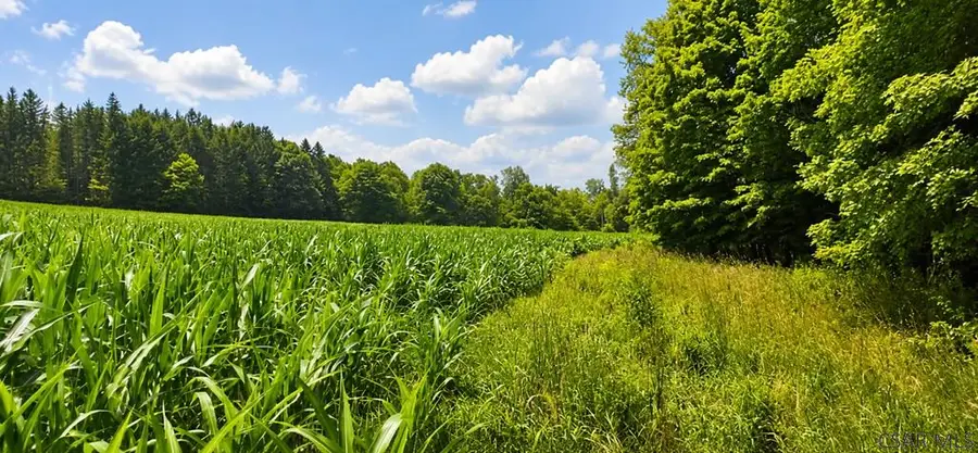 Double Dam Road, Northern Cambria, PA 15714 - #3