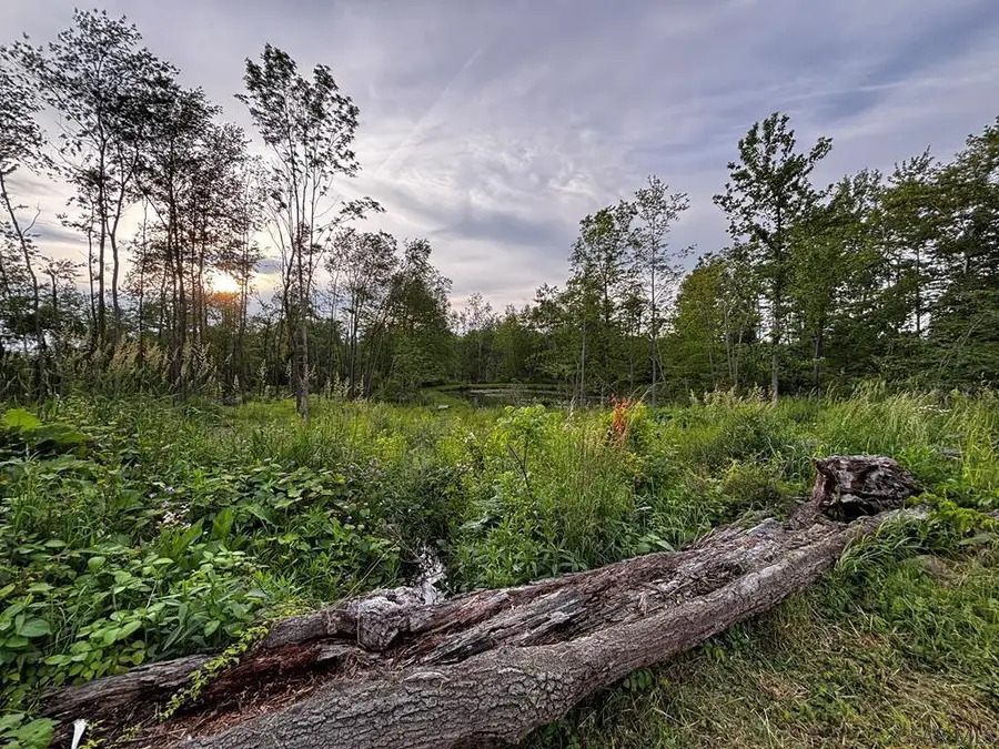 Ridge Road, Hooversville, PA 15936 - #2