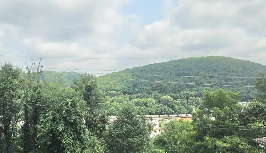 814 Virginia Avenue, Johnstown, PA 15906 - #2