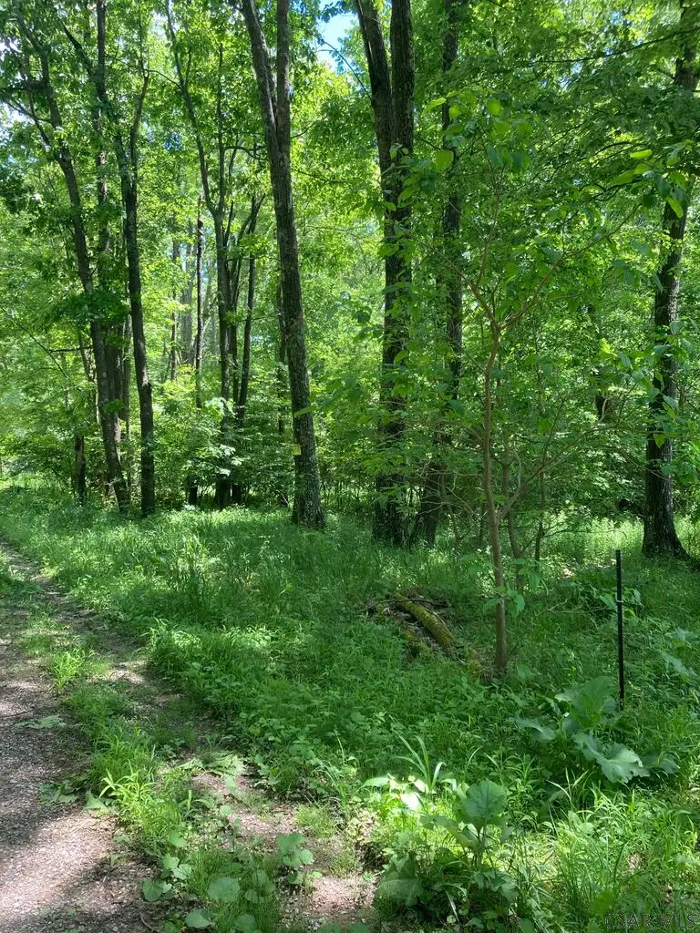 1215 Sandy Run Road, Confluence, PA 15424 - #3
