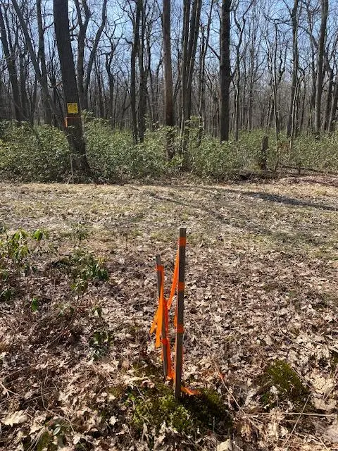 0 S Folino, Central City, PA 15926 - #2