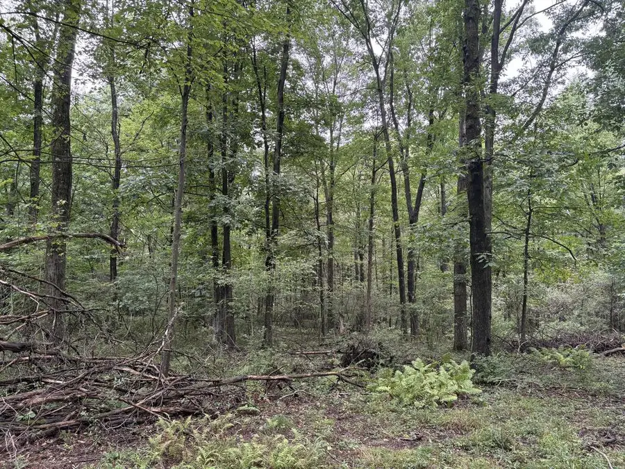 Rt 403 Hwy N, Northern Cambria, PA 15714 - #3