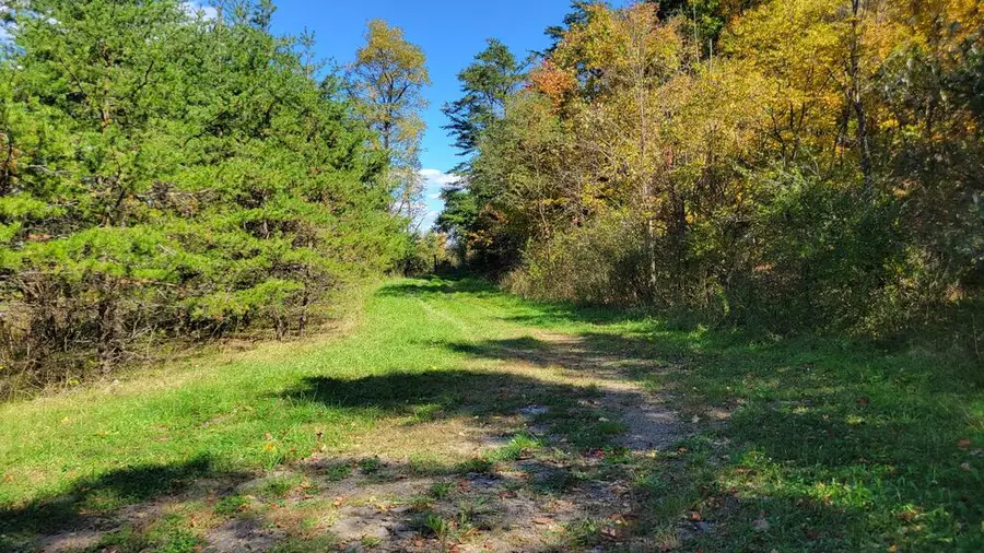 790 Fleming Hill Road, Manns Choice, PA 15550 - #2