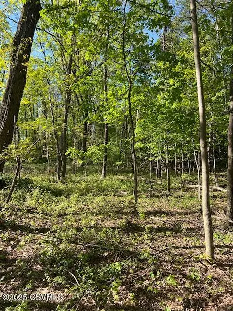 LOT 4 Iron Cave Lane, Lewisburg, PA 17837