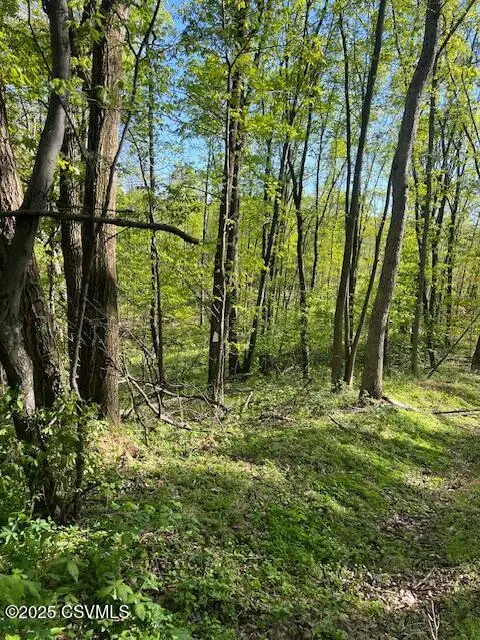 LOT 4 Iron Cave Lane, Lewisburg, PA 17837 - Image #2