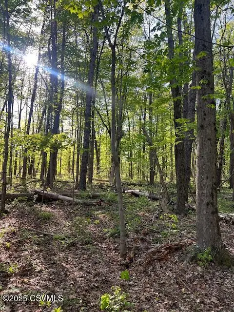 LOT 4 Iron Cave Lane, Lewisburg, PA 17837 - Image #3