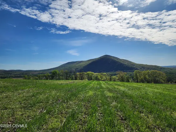 Roosters Road, Port Trevorton, PA 17864