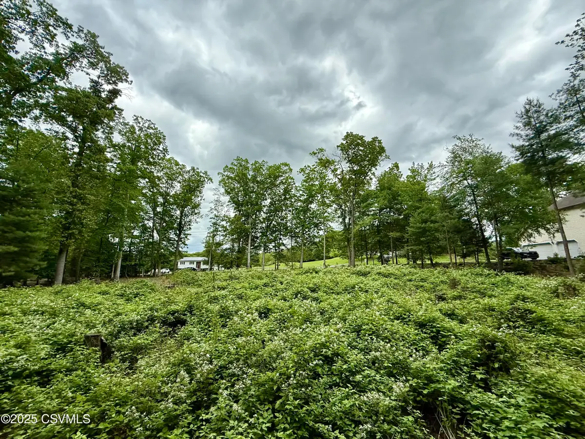 Roadarmel Lane, Paxinos, PA 17860 - #1