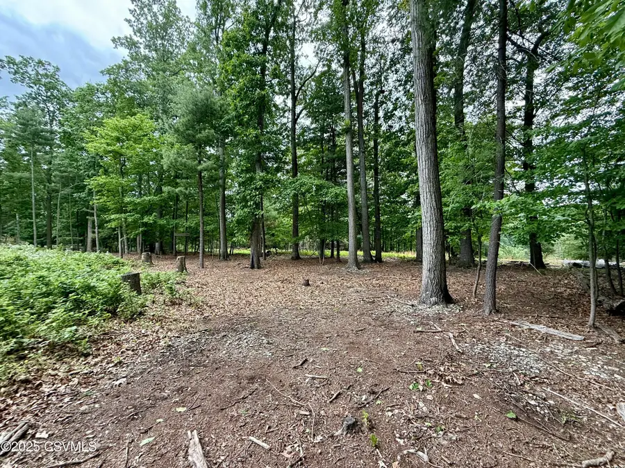 Roadarmel Lane, Paxinos, PA 17860 - #2